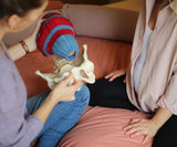 Hebammensprechstunde mit Hebamme Julia