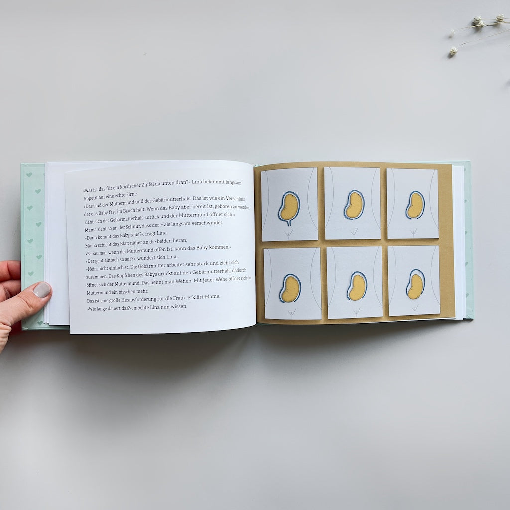 Wie geht Geburt - das Buch